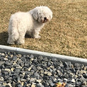 Meet your Posher, Jf